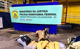 PRF prende traficante com mais de 11kg de maconha na BR-163 em Guaraciaba
