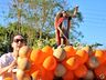 Paróquia São Miguel Arcanjo realiza desfile com benção da cidade