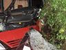 Árvores na pista causam acidentes na SC 163