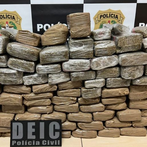 Polícia apreende 66 kg de maconha em casa de advogados em SC
