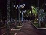 Cultura anuncia novidades para o Natal 2021 de SMOeste