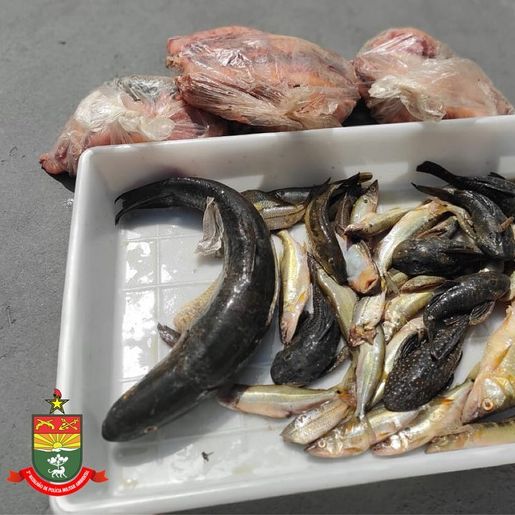 PMA flagra pesca ilegal no Rio Peperi-Guaçu em Santa Helena