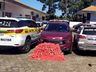 Polícia apreende 150 kg de maconha na SC-160