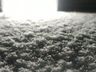 NEVE EM SC: Serra tem o primeiro registro do fenômeno em 2020