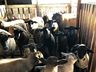 Cedup Campo Erê retoma gradativamente atividades prejudicadas pela pandemia