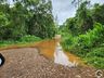 Fotos: Cheia dos rios em Itapiranga causa alagamentos