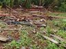Meteorologista afirma que "tempestade convectiva" provocou estragos no interior de Itapiranga