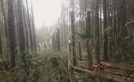 Santa Catarina é atingida pelo segundo tornado em menos de três horas