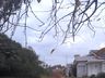 Moradores solicitam abertura de rua em sessão da Câmara de Vereadores 