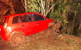 Veículo sai da pista e colide em árvores no interior do município de Riqueza