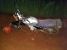 Homem foge da PM após queda de moto em São José do Cedro