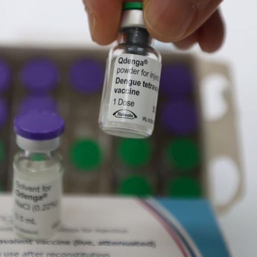 Com 331 mortes confirmadas, SC vacina apenas 28% do público-alvo contra a dengue