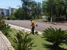 Lions e Léo Clube realizam ação voltada ao meio ambiente em SJCedro 