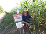 Agricultor gaúcho coloca alerta em lavoura de milho para espantar ladrões