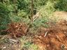 Ventos fortes causam grande destruição no interior de Iporã do Oeste