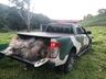 Polícia Ambiental flagra pesca predatória ilegal no rio Peperi-Guaçú