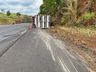 Caminhão carregado de suínos tomba na BR 282