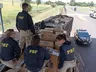 Cedrense é preso com pistola, agrotóxico e cigarro paraguaio no MS