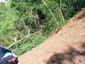 Homem morre após ser atingido por árvore no interior de SMOeste  