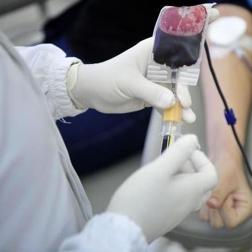 Prevendo baixa nos estoques, Hemosc reforça pedido de doação de sangue no verão