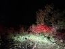 Temporal derruba árvore e bloqueia BR-282 em São Miguel Oeste  