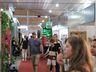 Movimentação segue intensa nesta manhã de terça-feira na Faismo 2022