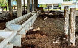 Secretaria de Agricultura prepara pavilhões para os animais da Mercoleite