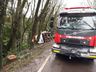 Van sai da pista e colide em árvore na BR-282 em Pinhalzinho