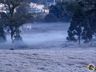 Fim de semana será de temperaturas negativas, geada e nevoeiro em SC