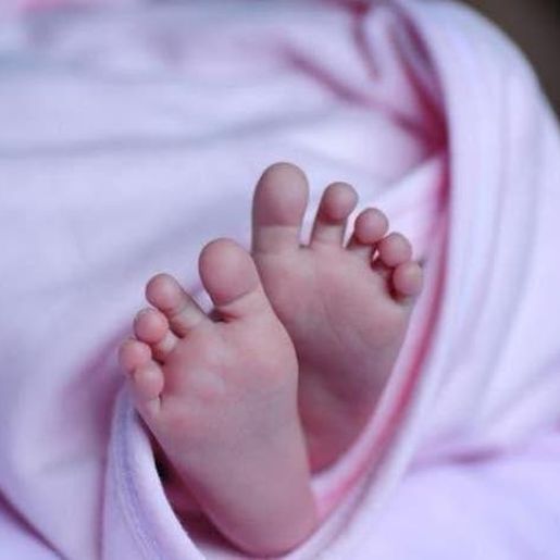 SC concentra 44% das mortes de bebês por Covid-19 do Sul do país