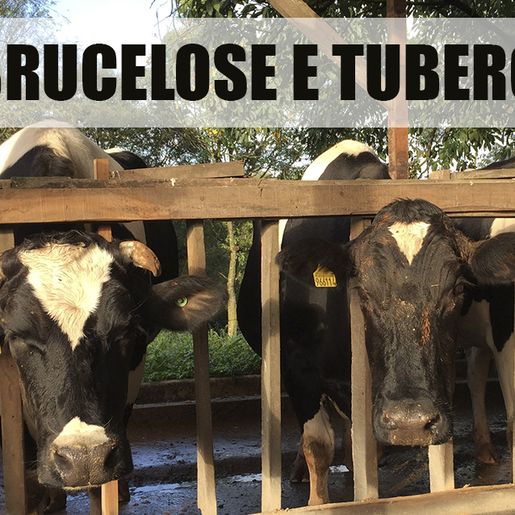 Cidasc amplia certificação de propriedades rurais