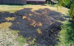 Queima de lixo coloca residência em risco de incêndio 