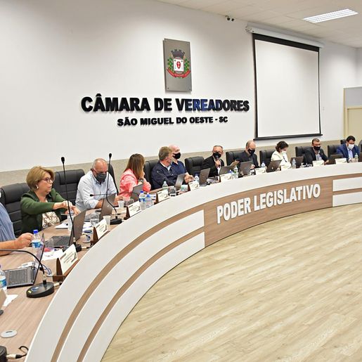 Em sessão presencial, Câmara aprova alteração no Regimento Interno e projetos em segunda votação