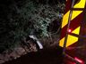 Motorista sai ileso após tombar carro em córrego