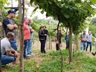 Dia de Campo sobre Videira é realizado em Guarujá do Sul