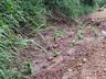 Inicia obra de calçamento rural em São José do Cedro 