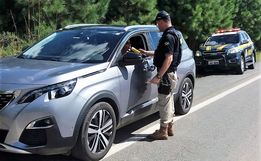 PRF inicia operação em SC com foco na embriaguez ao volante e alerta para filas