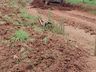Tunápolis intensifica obras e amplia parque de máquinas para melhorar estradas