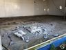 Credores nomeiam novo gestor da Laticínios Santa Catarina; veja como está a fábrica