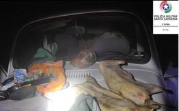 PMA apreende animais abatidos durante fiscalização em Tunápolis 