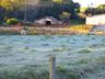 Geada muda paisagem em São Miguel do Oeste neste domingo; FOTOS E VÍDEO