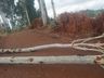 Falta de energia elétrica causa desabastecimento de água em Palma Sola