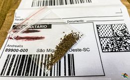 VÍDEO: Moradora de SMO recebe sementes misteriosas do Paraná