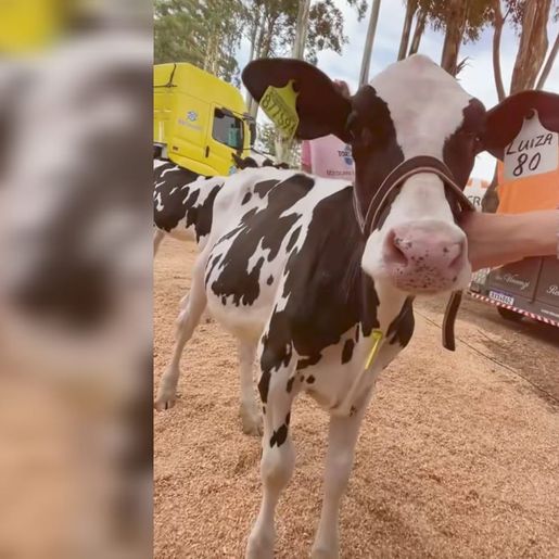 Expo Cedro impulsiona economia local e planeja expansão, revela Prefeito Fernando Will