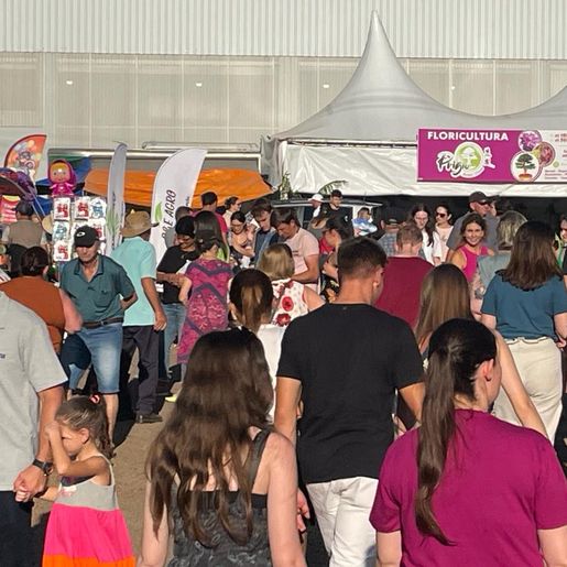 Faismo 2024: fila de carros até o trevo e parque lotado neste fim de tarde