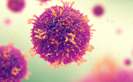 Suspeita de sarampo é registrada em criança de Palma Sola