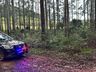 Homem é preso por posse ilegal de arma de fogo em Riqueza