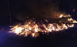 Incêndio florestal mobiliza Corpo de Bombeiros por quatro horas 