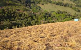 Falta de chuvas também está refletindo no plantio de alimentos na região 