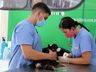Mutirão de castração de cães e gatos abre mais de 100 vagas em Paraíso 